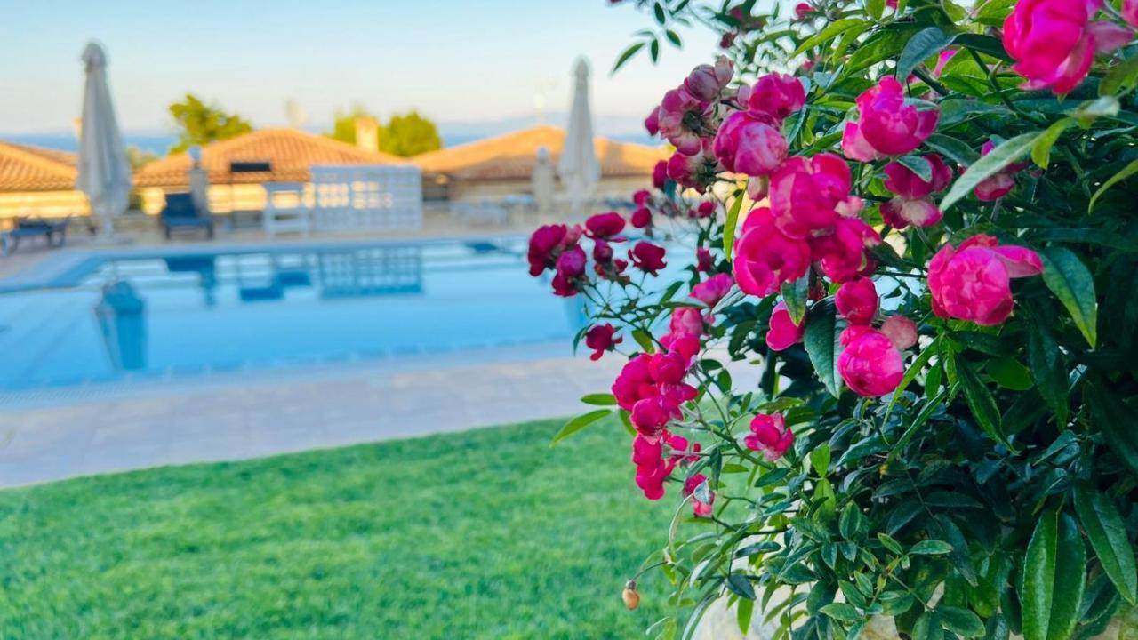 Daphne Villas كريوبيجي المظهر الخارجي الصورة